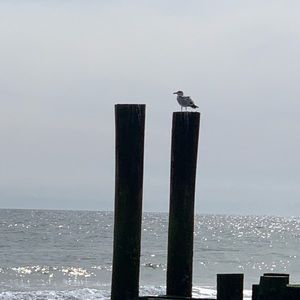 Meet your Posher, Ej